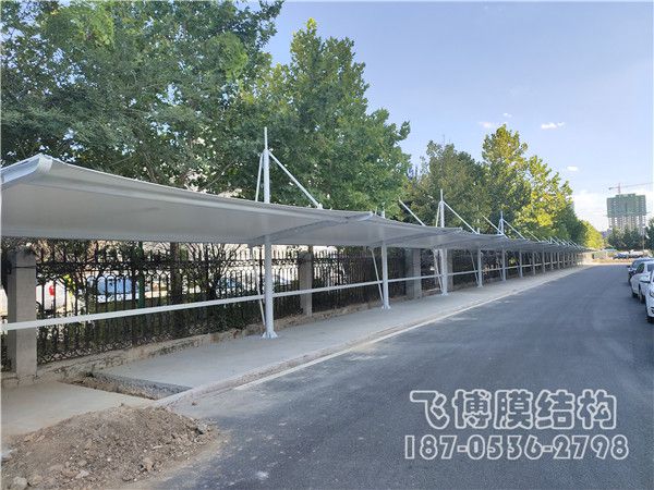 濰坊市寒亭區康華生物院內